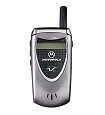 Motorola V60